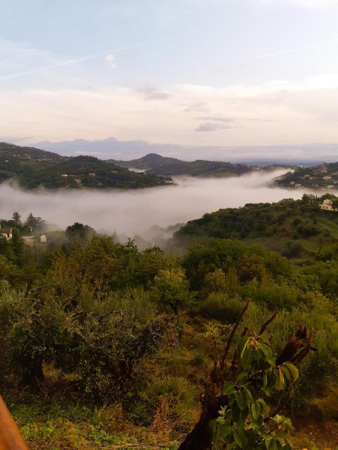 Bed and Breakfast La Dimora Degli Angeli Perugia Zewnętrze zdjęcie