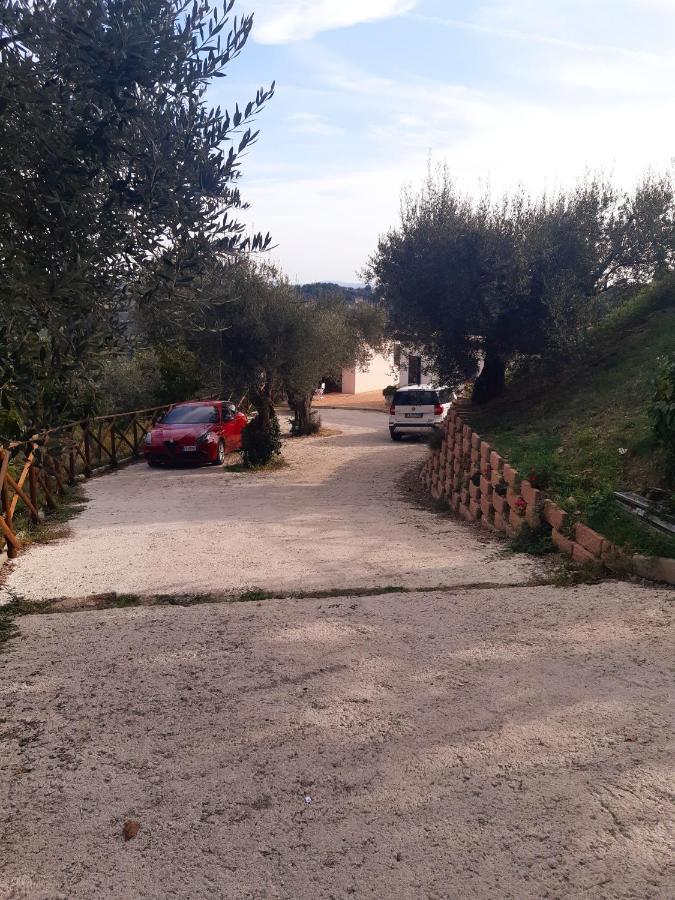 Bed and Breakfast La Dimora Degli Angeli Perugia Zewnętrze zdjęcie