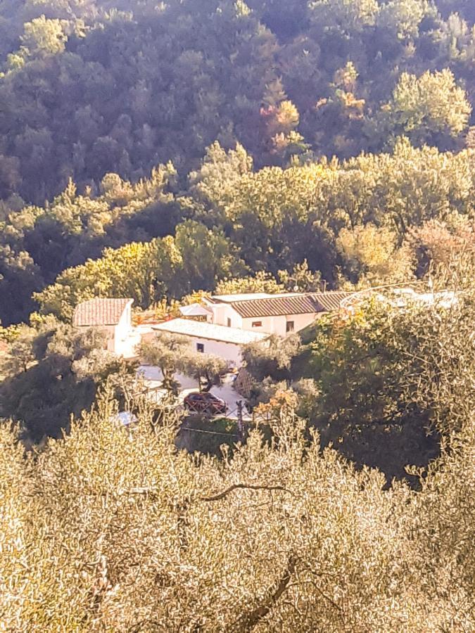 Bed and Breakfast La Dimora Degli Angeli Perugia Zewnętrze zdjęcie